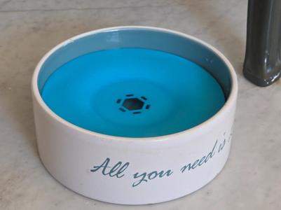 No spill antisplash for waterbowl