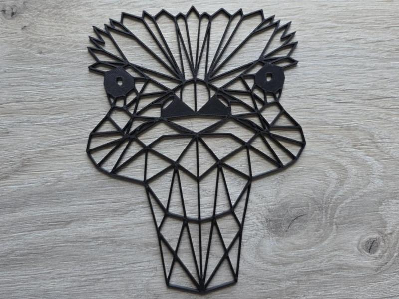 Ostrich 2D Geometric Art