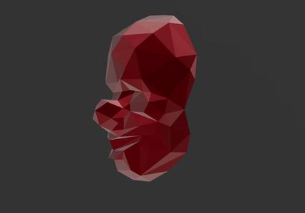 Mask L25 - Low Poly - Excellent Design - Decor