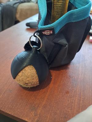 Soggy Tennis Ball Carrier