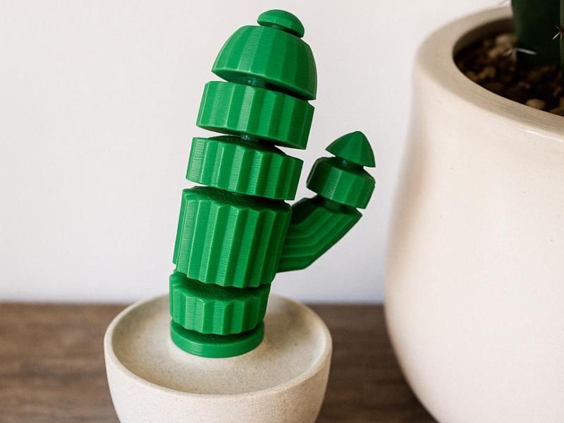 Flexi Cactus