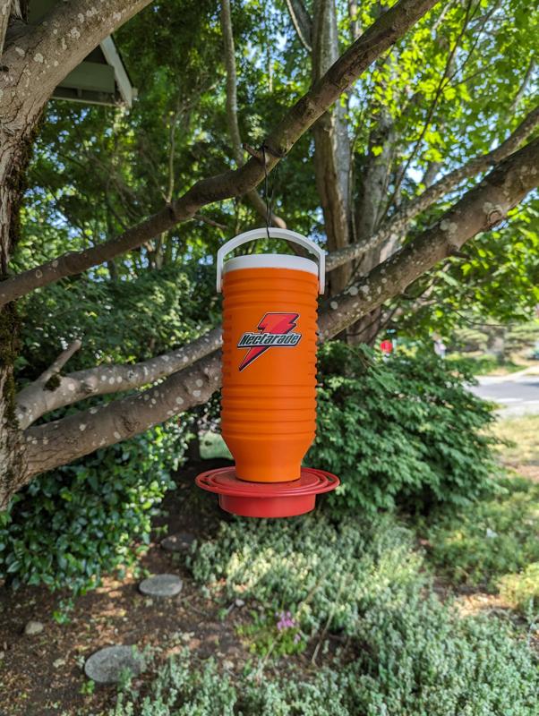 Nectarade Hummingbird Feeder