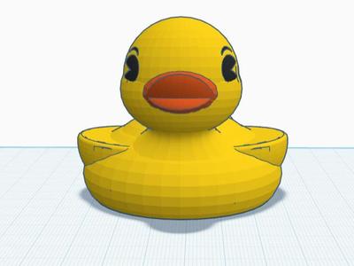 Duck