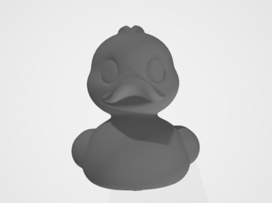 Duck