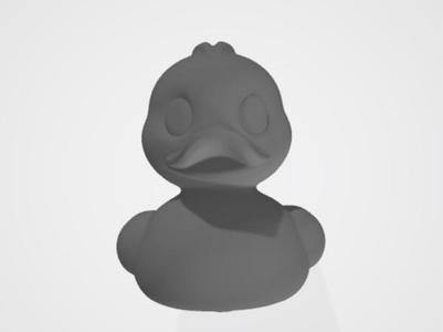 Duck