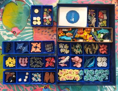 Aqua Garden game and expansions insert organizer