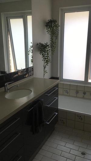 Plant Pot Wall Mount