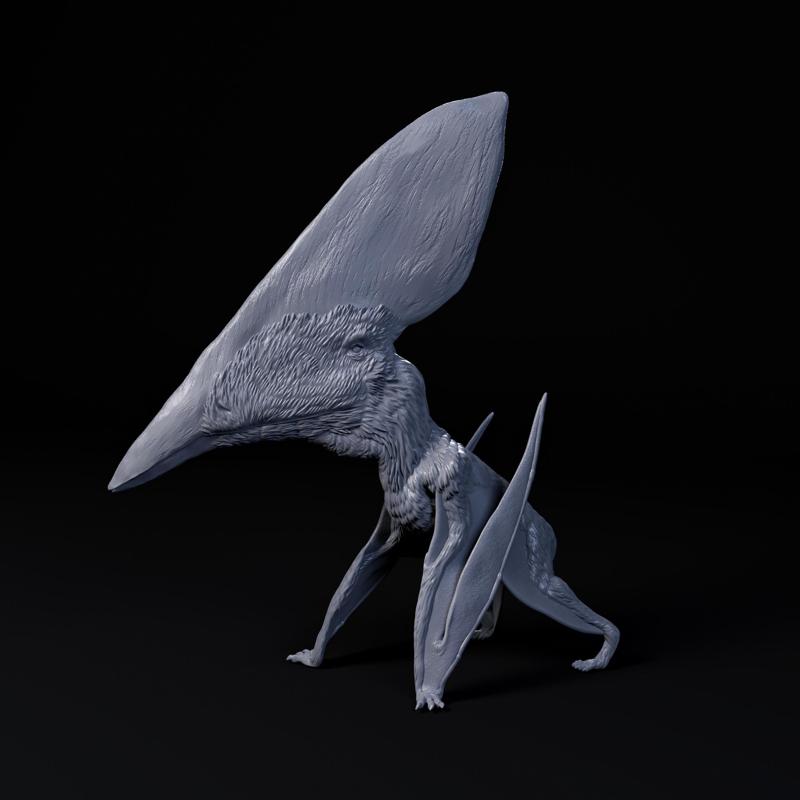 Thalassodromeus 1-35 scale pre-supported pterosaur