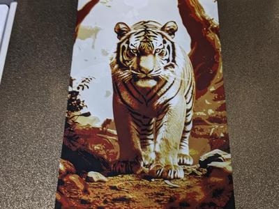 Tiger HueForge with frame