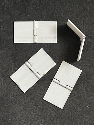 3cm Hinge