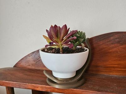 Elegant Corcelain extension holder