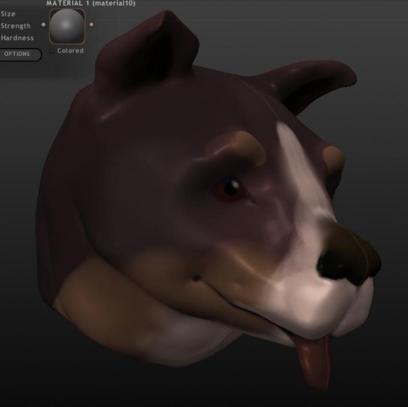 Basic Dog Sculpt