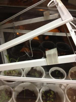 Mini Greenhouse Wedge