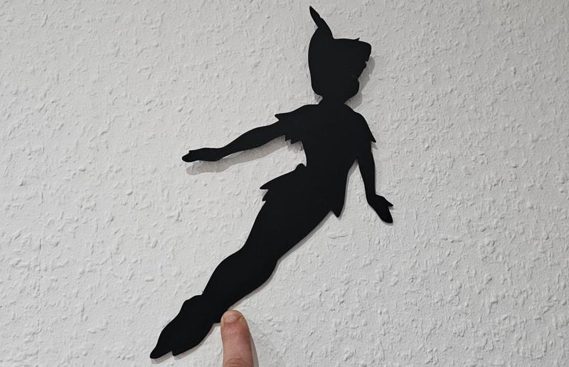 Disney Peter Pan Schatten Bild