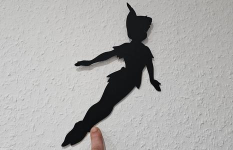 Disney Peter Pan Schatten Bild
