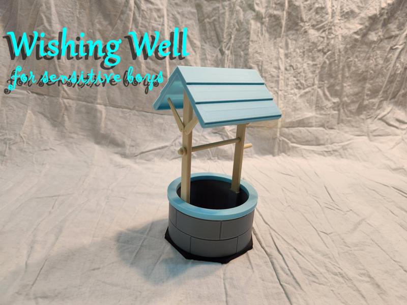 Wishing Well (for sensitive boys)