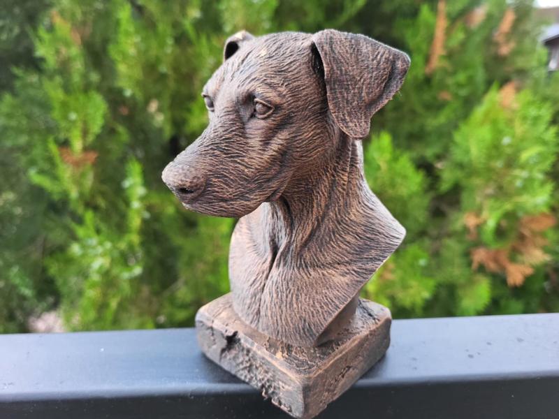 DOBERMAN NATURAL EARS BUST