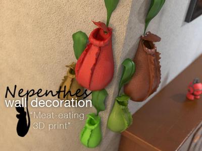 Nepenthes wall decoration