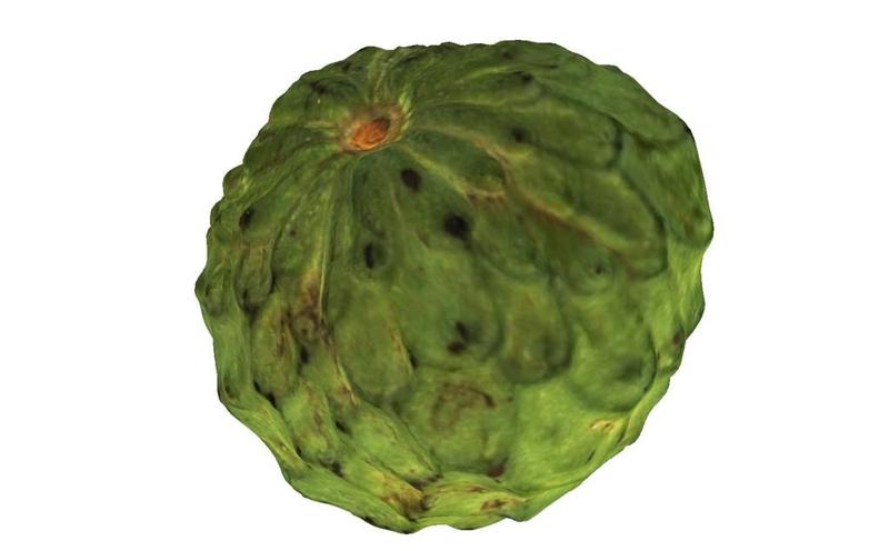 The Atemoya