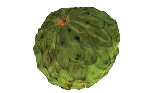 The Atemoya