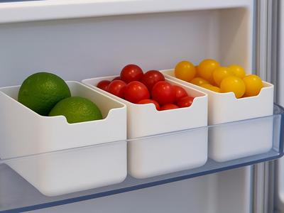 Refrigerator Inner Door Organizer