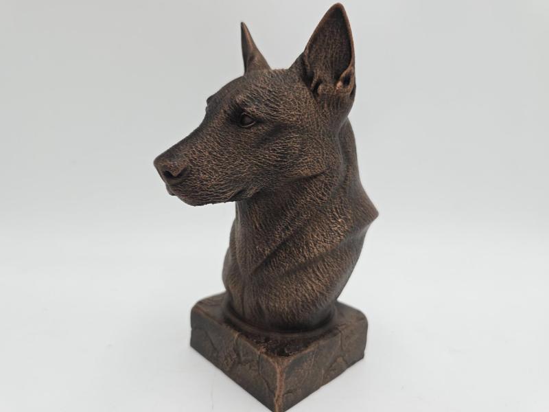 BELGIAN MALINOIS BUST