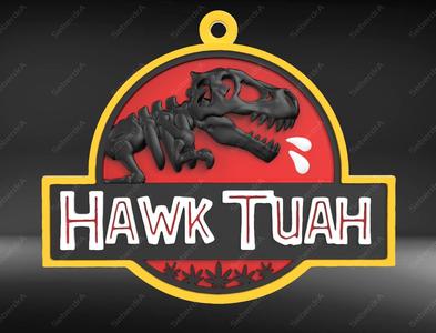 Hawk Tuah  Sign  and  KeyChain