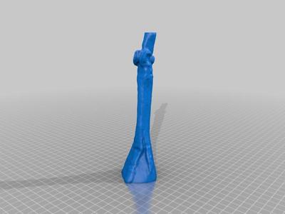 Fossil Horse Foot (Right Hind, Mesohippus/Oligocene)