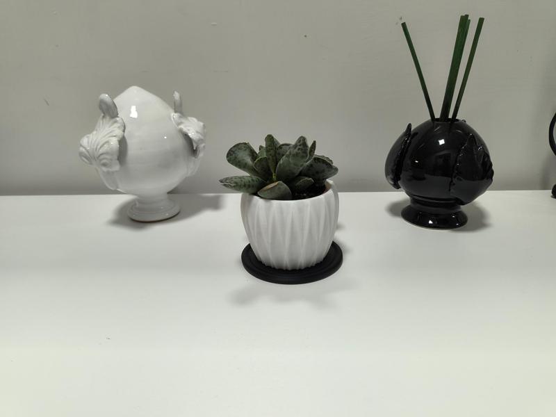 Succulent Plant Pot