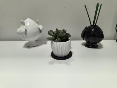 Succulent Plant Pot