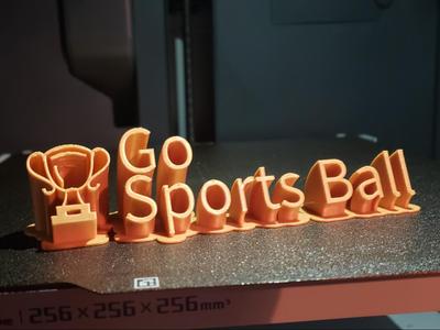 GO SPORTS BALL