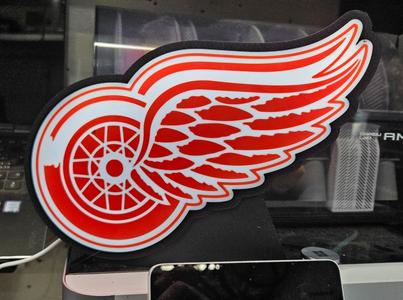 Detroit Red Wings Lightbox