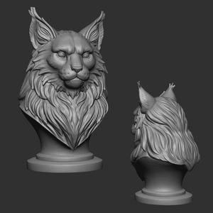 Bust of a Maine Coon Cat - 3D Print Model