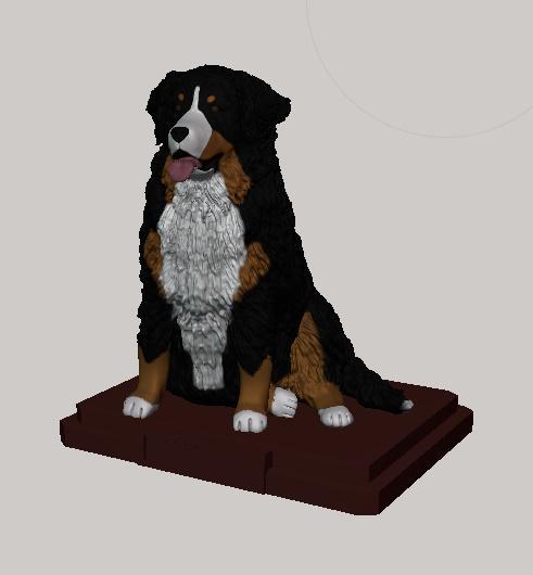Bernese Mountain Dog