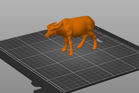 Buffalo