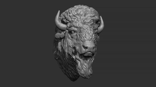 Bison bust