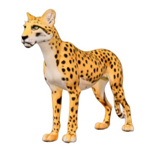 Adorable Sitting Cat