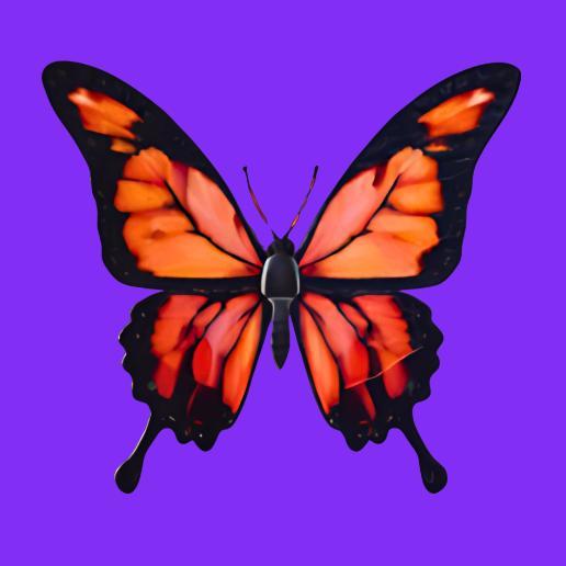 Orange and Black Butterfly