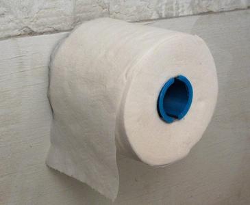 Toilet paper roll holder