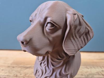 Epagneul Breton (Brittany Spaniel) Bust 