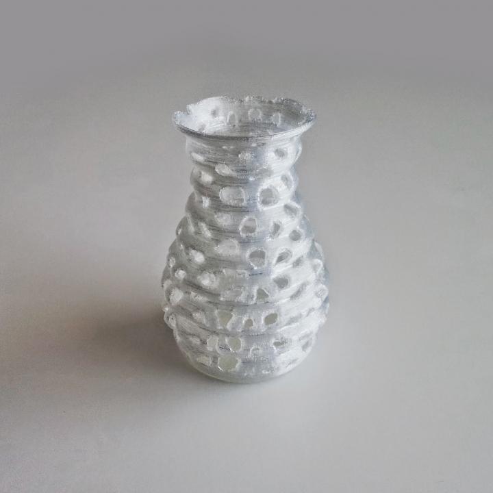 Voronoi Form Vase 1