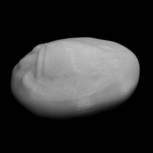 Silver stater coin from Aegina at The British Museum, London