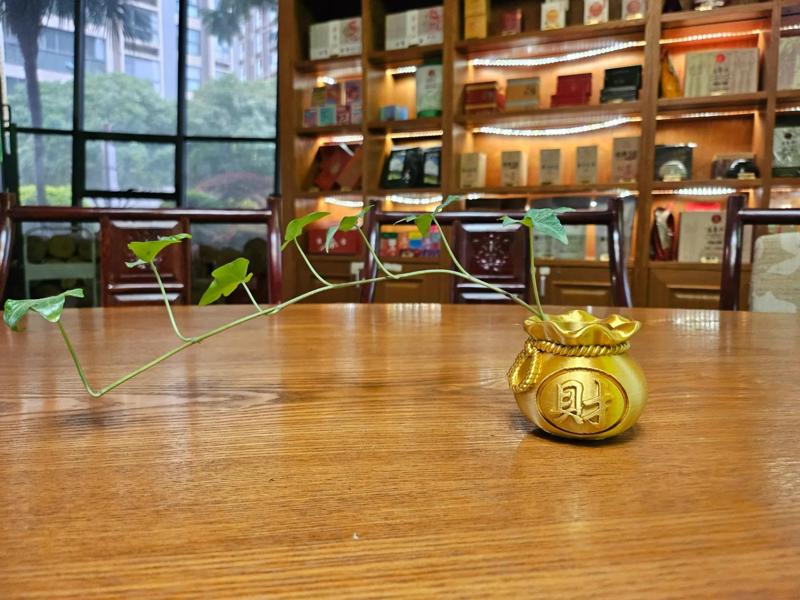 A treasure pouch brimming with auspiciousness, suitable for displaying tea table plants, cultivating crystal money trees, or using as a pen holder...