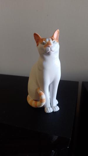 Cat sitting