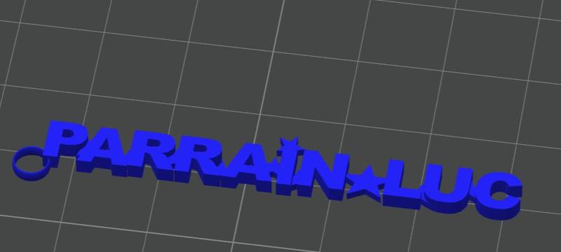 Key Ring parrain Luc 