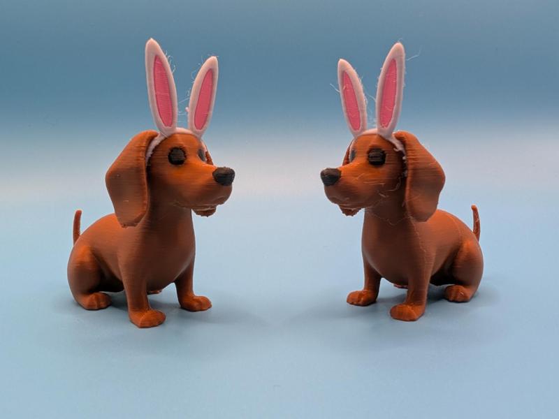 Dachshund with bunny ears