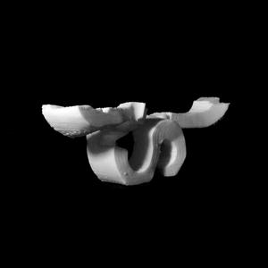 Mediterranean at The Middelheim Museum, Antwerp