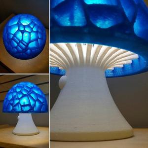 Mushroom LED Table/Desk Lamp!