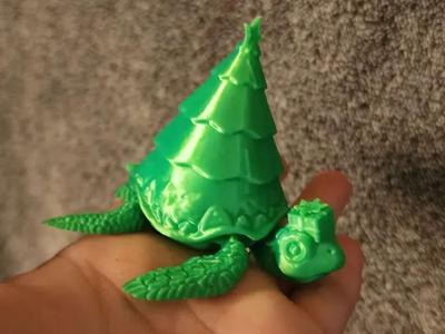 Christmas Tree Turtle