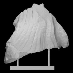 Fragment of the clothing of Nike